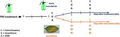 Primary Metabolism Is Distinctly Modulated by Plant Resistance Inducers in Coffea arabica Leaves Infected by Hemileia vastatrix